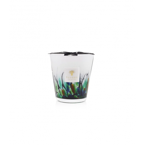 Bougie MAX 16 AMAZONIA de Baobab Collection