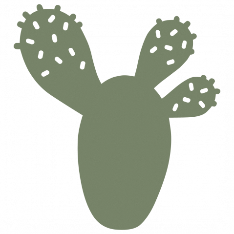 Dessous de plat CACTUS de Fermob, 11 coloris 